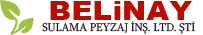 Belinay Logo